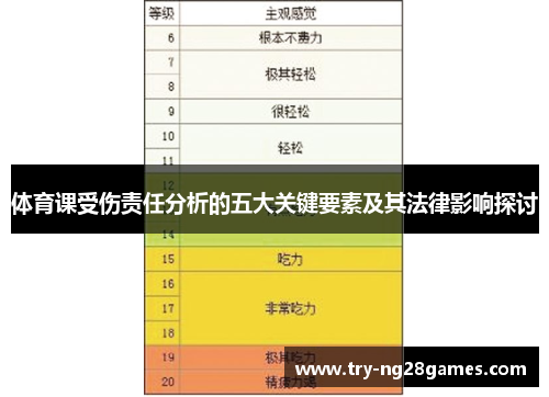 体育课受伤责任分析的五大关键要素及其法律影响探讨