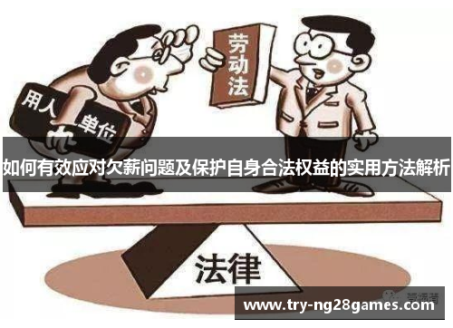 如何有效应对欠薪问题及保护自身合法权益的实用方法解析