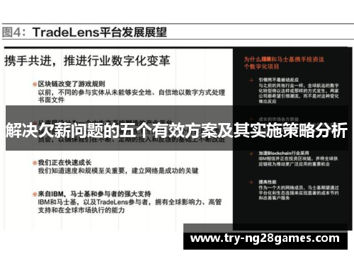 解决欠薪问题的五个有效方案及其实施策略分析
