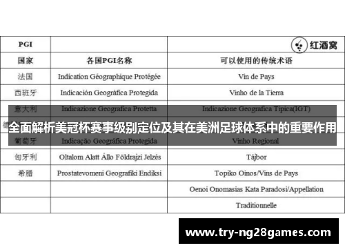 全面解析美冠杯赛事级别定位及其在美洲足球体系中的重要作用
