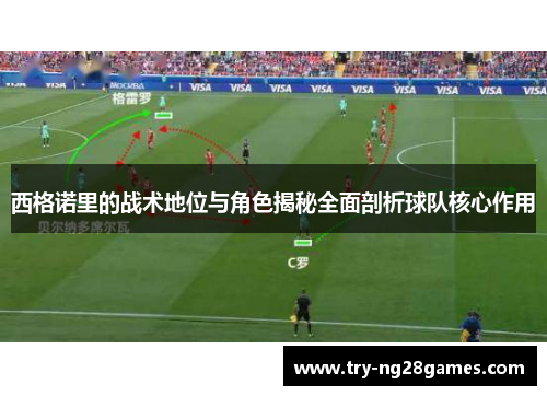 西格诺里的战术地位与角色揭秘全面剖析球队核心作用