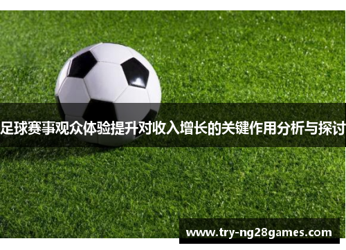 足球赛事观众体验提升对收入增长的关键作用分析与探讨 足球赛事观众体验提升对收入增长的关键作用分析与探讨