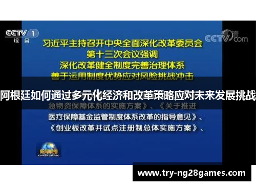 阿根廷如何通过多元化经济和改革策略应对未来发展挑战
